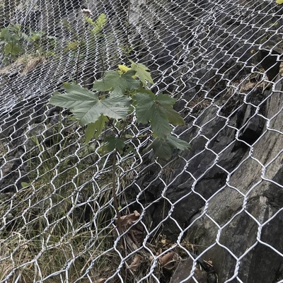 Casella di gabion con rivestimento in PVC di galfan rivestito in lega 2*1*1M Dimensione personalizzata