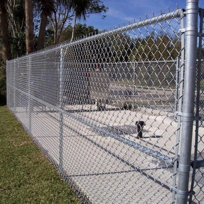Fence a legame a catena tessuta con filo di lega per la sicurezza industriale
