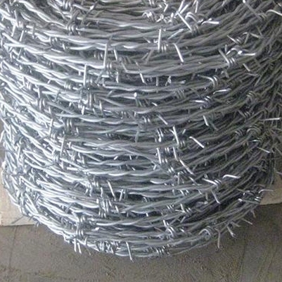 25 kg di filo spinato di ferro galvanizzato