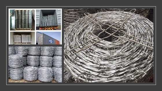 Galvanizzato filo rasoio a basso tenore di carbonio 2.0-4.0 mm