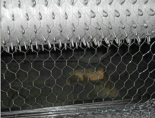 Griglia di filo di pollame esagonale galvanizzata per galline