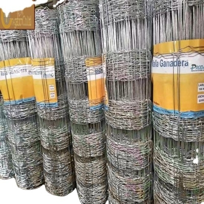 Griglia di acciaio esagonale galvanizzata per gabbia per polli di pollame