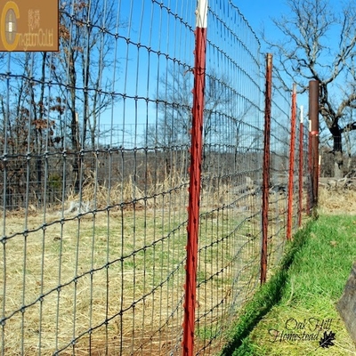 Griglia di acciaio esagonale galvanizzata per gabbia per polli di pollame