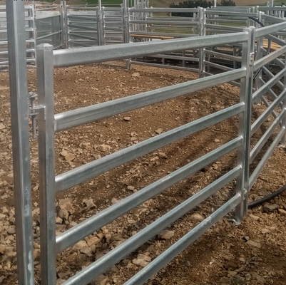 Pannelli di recinzione standard di bovini in metallo galvanizzato per cortili di allevamento