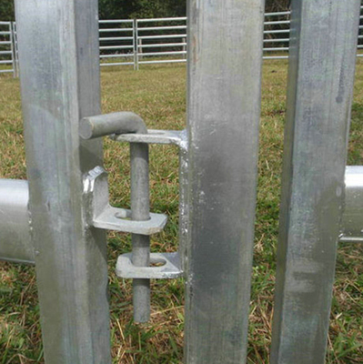 Recinzione galvanizzata galvanizzata Recinzione per bestiame bovino pecore maiale Recinzione in rotoli 300x48