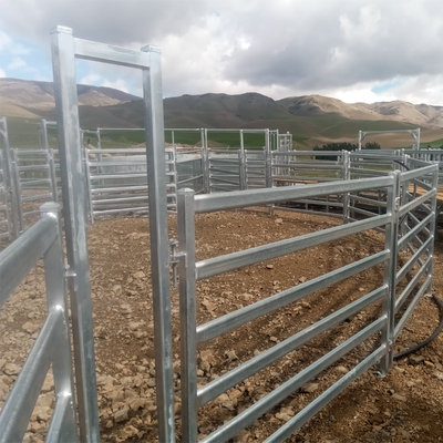 Griglia di acciaio galvanizzato per recinzioni di campi per animali